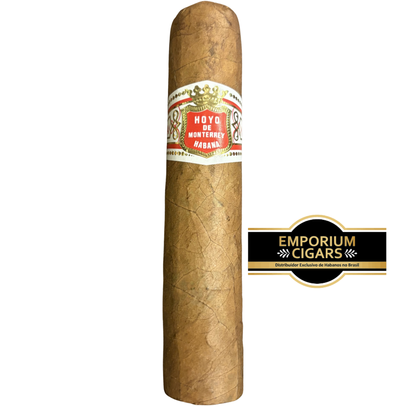 Hoyo de Monterrey Petit Robusto
