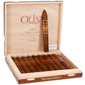 Caixa Oliva Serie V Melanio Torpedo - 10 Unds